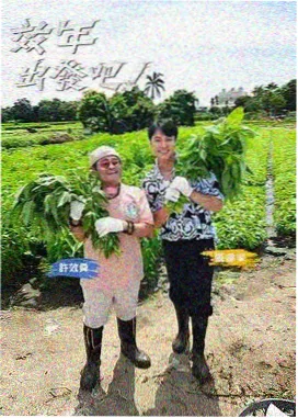 向往的生活 萱萱影视慢综艺